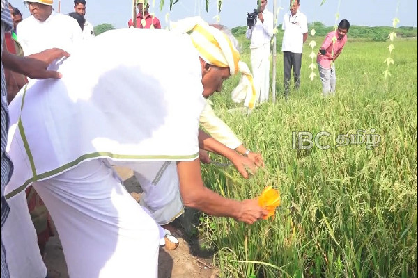 வடக்கு மாகாண பொங்கல் விழாவை புறக்கணித்த அமைச்சர் மற்றும் பிரதி அமைச்சர் | Ministersr Boycott Northernpongal Celebrations