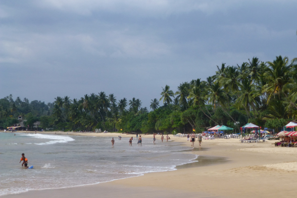 கிருஸ்துமஸ் தினத்தில் மருத்துவருக்கு கடலில் நேர்ந்த துயரம் | A Doctor Died In The Mirissa Sea On Christmas Day