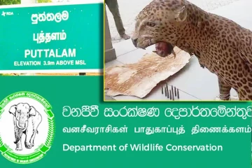 முன்னாள் பிரதி காவல்துறை மா அதிபரின் காணியில் துப்பாக்கி ரவைகள் ,சிறுத்தைதோல்கள் மீட்பு