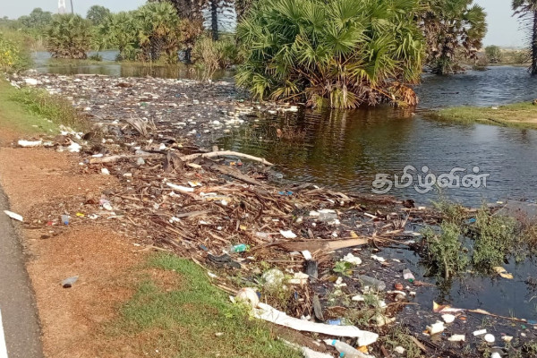 யாழில் அகற்றப்படாத குப்பைகளால் நோய் பரவும் அபாயம்.. | Garbage Piles Up In Jaffna Coastal Roads யாழில் அகற்றப்படாத குப்பைகளால் நோய் பரவும் அபாயம்.. | Garbage Piles Up In Jaffna Coastal Roads
