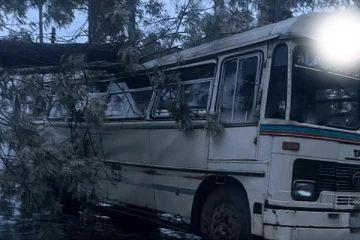 நிறுத்தி வைக்கப்பட்டிருந்த பஸ் மீது முறிந்து விழுந்த பாரிய மரம்