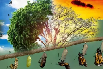 'மாற்றம்' இயற்கையின் நியதி