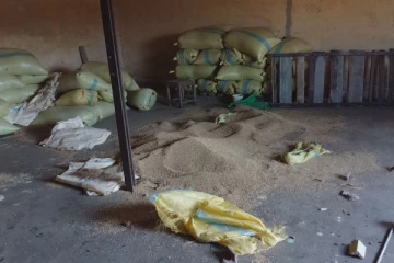 அதிகாலையில் ஊருக்குள் புகுந்து யானை அட்டகாசம்! பாரியளவில் ஏற்பட்ட நட்டம்