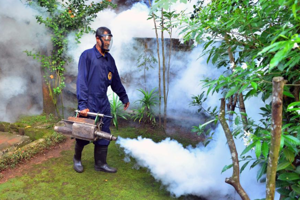 அதிகரிக்கும் டெங்கு பரவல் : 81 ஆயிரத்தைக் கடந்த டெங்கு நோயாளர்கள் | Dengue Outbreak Increasing Patients 81 Thousand அதிகரிக்கும் டெங்கு பரவல் : 81 ஆயிரத்தைக் கடந்த டெங்கு நோயாளர்கள் | Dengue Outbreak Increasing Patients 81 Thousand