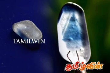 இலங்கையில் பிரமிட் வடிவிலான அரிய வகை நீல இரத்தினக்கல் கண்டுபிடிப்பு