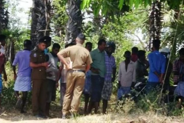 தமிழர் பகுதியில் யானையை கண்டு பீதியடைந்து உயிரை காப்பாற்ற ஆற்றில் வீழ்ந்த தந்தை - மகன்!