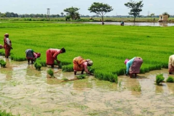 யாழ் நாவற்குழி மக்களுக்கான முக்கிய அறிவிப்பு