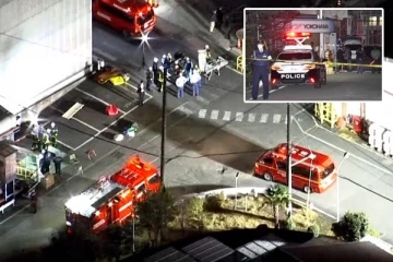 ஜப்பானில் தொழிற்சாலைக்குள் நடந்த கத்திக்குத்து தாக்குதல்: ஊழியர்கள் 15 பேர் பாதிப்பு