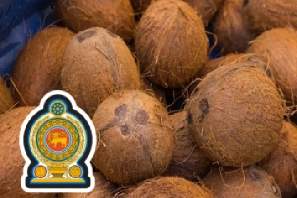 அதிகரிக்கும் தேங்காய் விலை : வெளியானது காரணம் | Coconut Pricing Amid Rising அதிகரிக்கும் தேங்காய் விலை : வெளியானது காரணம் | Coconut Pricing Amid Rising