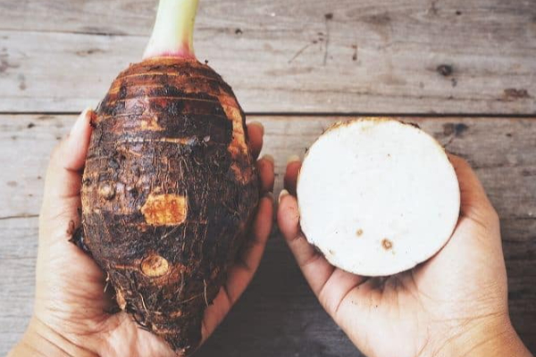 சேப்பங்கிழங்கு சாப்பிட்டால் சாகும் வரை கண் கோளாறுகள் நெருங்கவே நெருங்காது | Health Benefits Of Taro Root