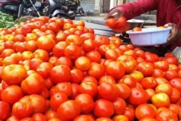 மளமளவென சரிந்த தக்காளி விலை - கிலோவுக்கு இவ்வளவு குறைவா? மகிழ்ச்சியில் மக்கள்