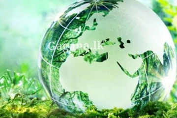 මේ දේ ගැන නම් හිතන්නවත් අමාරුයි - වසර මිලියන ගණනාවකට පසුව මිනිසුන්ට වෙන දෙයක් ගැන භයානක හෙළිදරව්වක්.