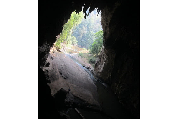 தங்கமாகும் மூலிகை.. ஒரு முறை சென்றாலும் உயிருடன் திரும்ப முடியாத மர்ம குகை | Wonderful Herb Mysterious Cave Facts