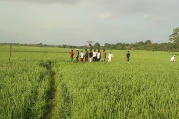 வயலுக்கு சென்ற தாய்க்கும் மகளுக்கும் நடந்தேறிய பெரும் துயரம் ; துடிதுடித்து பிரிந்த உயிர்கள்