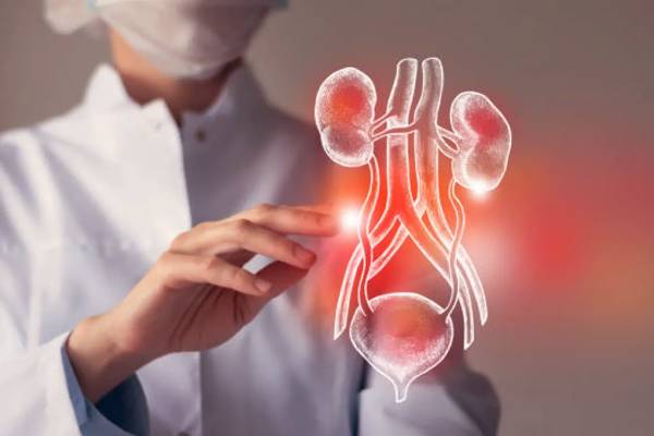 அமைதியான சிறுநீரக சிதைவு - உலகளவில் 800 மில்லியன் மக்கள் பாதிப்பு... என்ன செய்யலாம்? | Silent Kidney Disease 800 Million People Affected அமைதியான சிறுநீரக சிதைவு - உலகளவில் 800 மில்லியன் மக்கள் பாதிப்பு... என்ன செய்யலாம்? | Silent Kidney Disease 800 Million People Affected