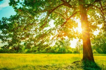 காலநிலையில் ஏற்படவுள்ள மாற்றம்! வெளியான அறிவிப்பு