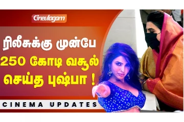 ரிலீஸுக்கு முன்பே 250 கோடி வசூல் செய்த புஷ்பா !