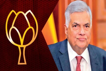 ரணிலுக்கு அளித்துள்ள ஆதரவினால் பிளவுப்பட்ட மொட்டுக்கட்சி