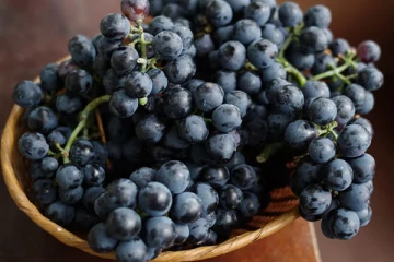 கருப்புத் திராட்சையில் இவ்வளவு நன்மைகள் இருக்கின்றதா?