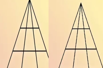 optical illusion : படத்தில் எத்தனை முக்கோணிகள் உள்ளன? மூன்று நொடிகளில் உங்களால் கண்டுபிடிக்க முடியுமா?
