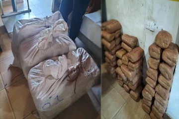 காரைநகரில் நூறு கிலோவிற்கு அதிகமான கஞ்சா மீட்பு