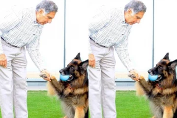 சமையல்காரர் முதல் வளர்ப்பு நாய் வரை.., ரத்தன் டாடா யாருக்கெல்லாம் சொத்து எழுதி வைத்துள்ளார்?