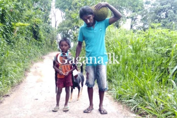 නුවර පෙරහැර බලන්න ආපු ප්‍රභූ රකින්න ඇවිත් පවුලක්ම කුසගින්නේ තියලා.(PHOTOS)