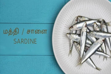 மத்தி மீன் சாப்பிட்டால் எடை குறைக்கலாம்! இன்னும் பல நன்மைகள்