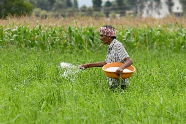 உர மானியம் பெறாத விவசாயிகளுக்கு வெளியான தகவல் | Free Fertilizer Subsidy Farmers Gov Announcement உர மானியம் பெறாத விவசாயிகளுக்கு வெளியான தகவல் | Free Fertilizer Subsidy Farmers Gov Announcement