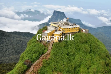 සිරිපා වන්දනා සමයේ පොලිතින් පාලනයට ක්‍රියාමාර්ග...