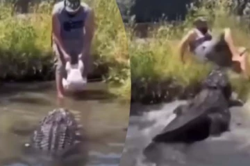 உணவு போட வந்தவரை உணவாக்க நினைத்த முதலை.... நடுநடுங்க வைக்கும் காட்சி