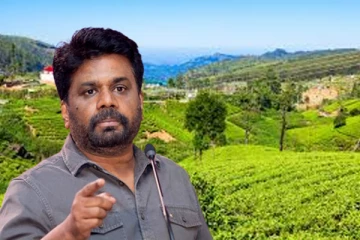 நுவரெலியாவிலும் இவர் தான்..! வெளியானது தபால் மூல வாக்கு முடிவுகள்