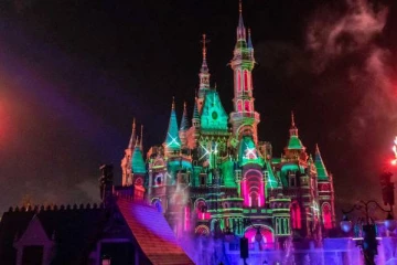 ஒரு நபரால் இழுத்து மூடப்பட்ட டிஸ்னி லேண்ட்...என்ன காரணம் தெரியுமா?