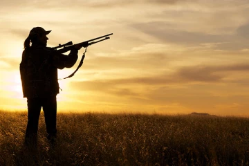 காட்டுப் பன்றிகளை வேட்டையாடச் சென்ற நபருக்கு நேர்ந்த சோகம்