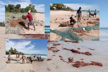 தமிழர் பகுதியில் சிரமங்களை எதிர்நோக்கும் கடற்றொழிலாளர்கள்(படங்கள்)