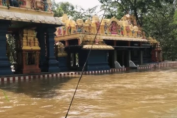 வெள்ளம் சூழ்ந்த செல்லக் கதிர்காகம்!