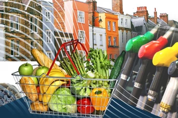 பொருட்களின் விலை அதிகரிப்புக்கு மொட்டுக் கட்சி எதிர்ப்பு