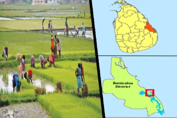 மட்டக்களப்பு விவசாயிகள் புறக்கணிக்கப்பட்டுள்ளனர் - கமக்கார அமைப்பின் தலைவர் விசனம்!