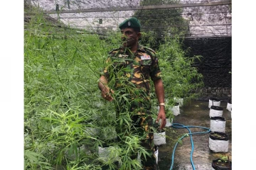 හරිතාගාරයකින් හමුවූ කවුරුත් නොසිතූ දේ - (PHOTOS)