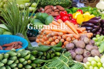 එළවළු මිලට එකවරම මොකද වුණේ දන්නව ද?.