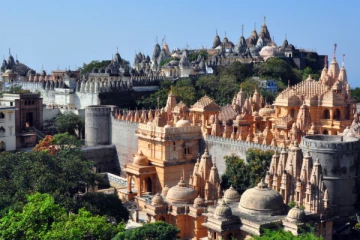 உலகில் அசைவ உணவு விற்பனை மற்றும் நுகர்வுக்குத் தடை ; நகரம் எது தெரியுமா?