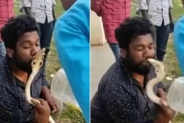 நாகப்பாம்புக்கு முத்தம் கொடுத்த நபரின் உதட்டை பதம் பார்த்ததால் அதிர்ச்சி! இறுதியில் நடந்த அதிசயம்