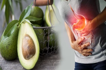 மலச்சிக்கலுக்கு தீர்வு கொடுக்குமா அவகோடா: எப்படி சாப்பிட வேண்டும்