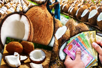 தேங்காய் விலையில் ஏற்பட்டுள்ள மாற்றம்