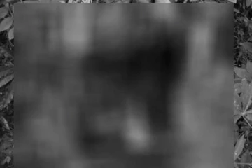 ත්‍රීරෝද රථයක් අඩි 700 ක ප්‍රපාතයකට..දෙදෙනකු එම ස්ථානයේදීම මරුට