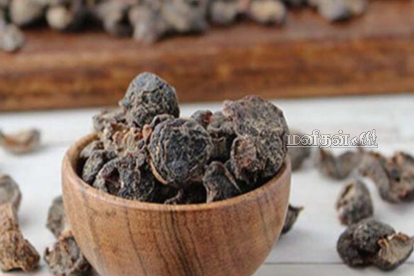 தினமும் ஒரே ஒரு துண்டு இதை சாப்பிடுங்க! வாழ்நாள் முழுவதும் நோயிலிருந்து தப்பிக்கலாம் | Dry Goose Berry Benefits In Tamil