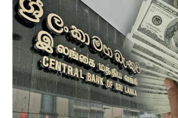 இலங்கைக்கு வந்துள்ள பெருந்தொகை பணம் - மத்தியவங்கி தகவல்