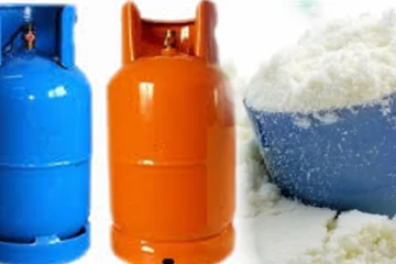 பால் மா மற்றும் எரிவாயு தட்டுப்பாடு ஏற்பட காரணம் இதுவே! - அரசாங்கம்