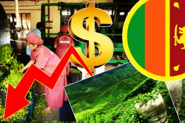 போர் எதிரொலியால் குறைந்த தேயிலை ஏற்றுமதி: மில்லியன் டொலர் வருமான இழப்பு