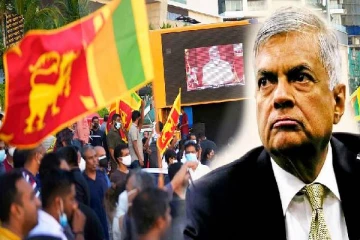 ராஜபக்சக்களை பாதுகாக்க மாட்டேன்: விமர்சனங்களுக்கு ரணில் பதிலடி